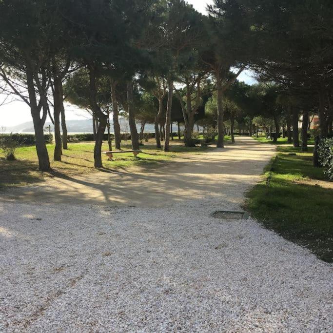 F3 Classe Meuble Tourisme "Gites De France" A 80 Metres De La Plage Argelès-sur-Mer Esterno foto